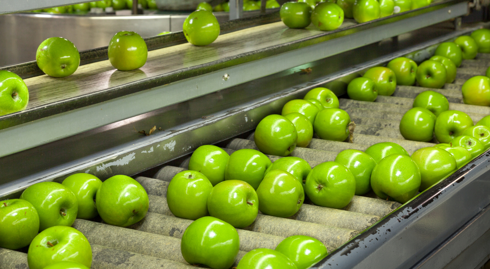 See How Air Bearings Can Improve Food Processing and Packaging!