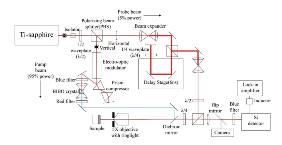 Diagram of pump-probe experimental setup.